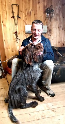 Новые владельцы